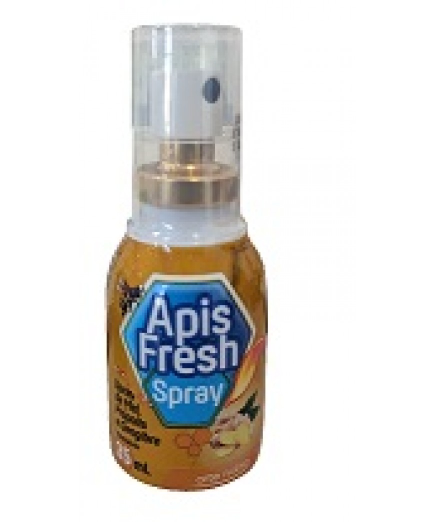 APIS FRESH GENGIBRE