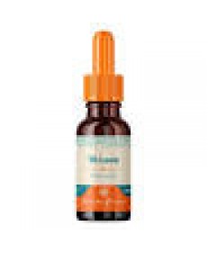 FLORAIS TO LEVE FLORATA